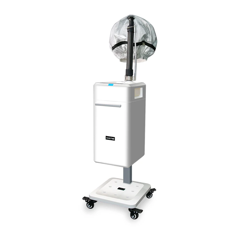 Professional Nano Ozone Ultrasonic Micro Mist Hair Steamer 800W 110V-220V Full-Automatic with SPA Treatment for Beauty Salon Use