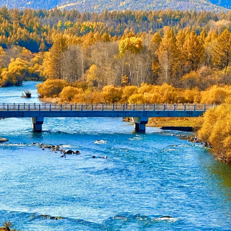 Modulo GEPRC LINKFLOW 915M 2W ELRS TX - 868/915MHz ExpressLRS3.5 2000mW Modulo controller radio TCXO FPV RC