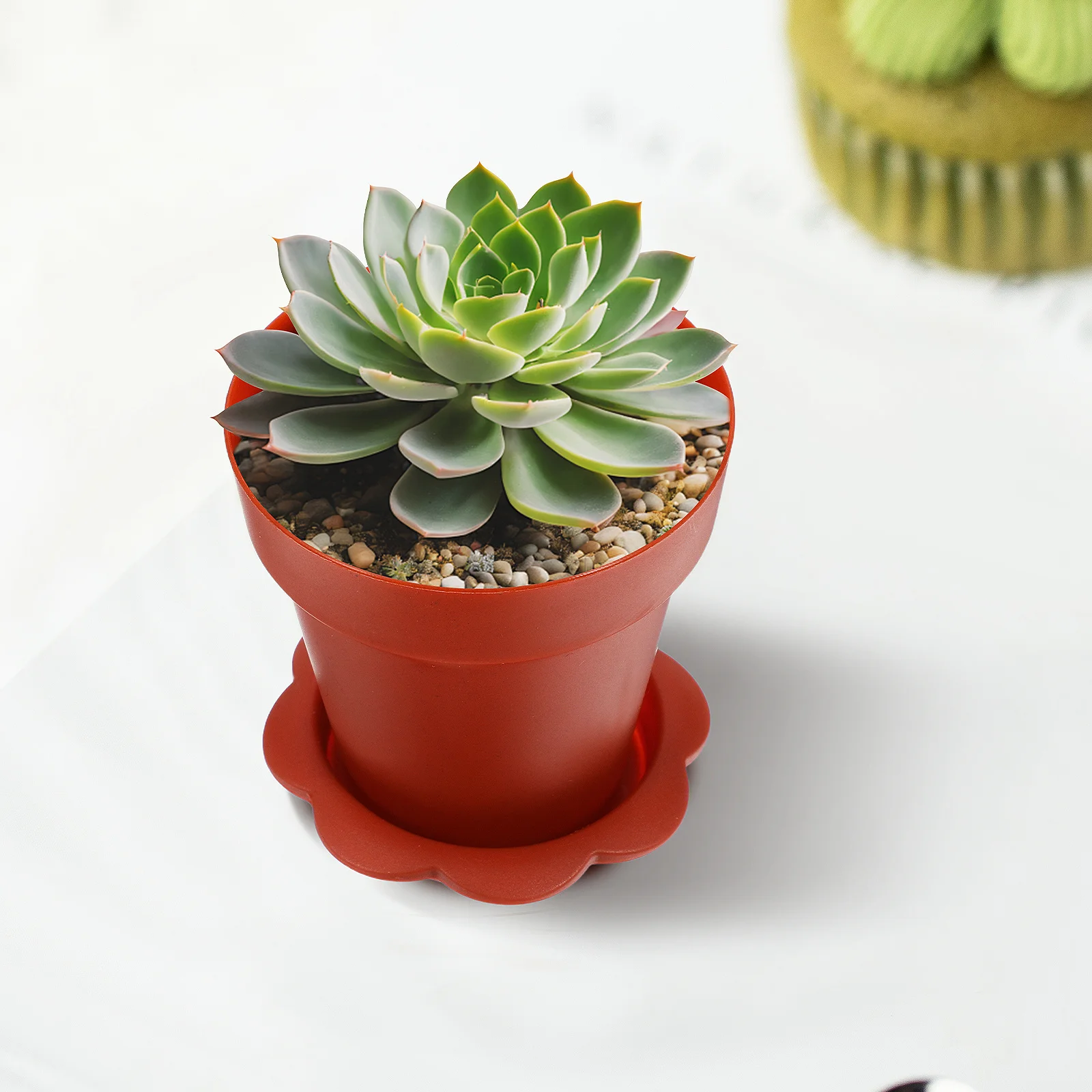 

10Sets Ice Cream Cups Plastic Dessert Cake Yogurt Pudding Mousse Cups Small Flowerpots for Home Party Shop Small Flowerpots