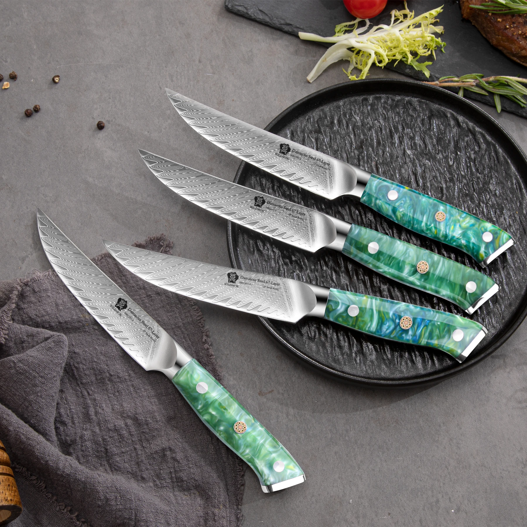 WILDMOK Steak Knives, 5 inch Non Serrated Steak Knife Set of 4, 67 Layers Damascus VG10 Steel Steak Knives,Premium Resin Handle
