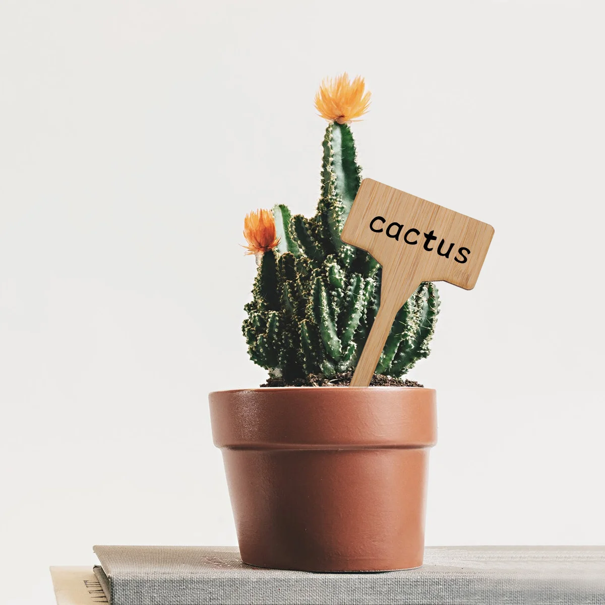 

20 Pcs Bamboo Plant Labels Durable T Shape Easy Insert Material Seedling Markers Garden Decor Plaque naments DIY