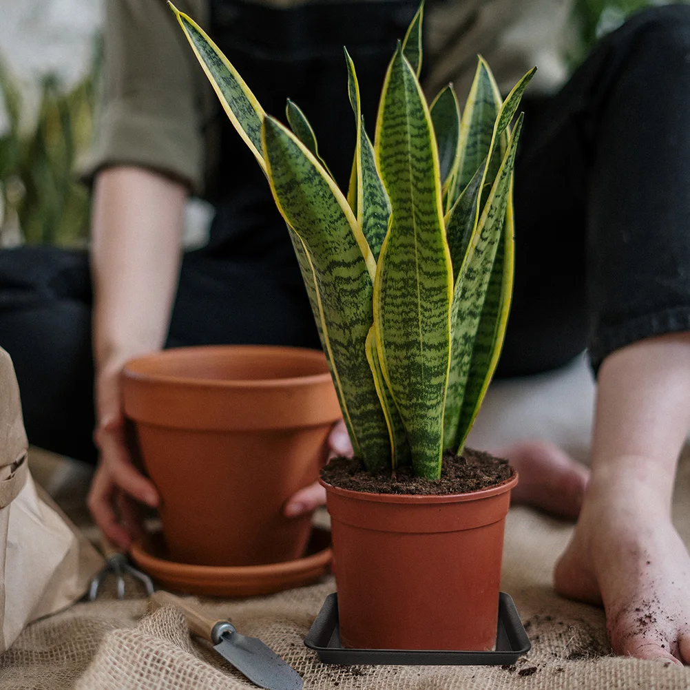 

4 Pcs Plant Pot Saucers Flowerpot Drip Trays Planter Drainage Pots for Potted Plants Bottom Base
