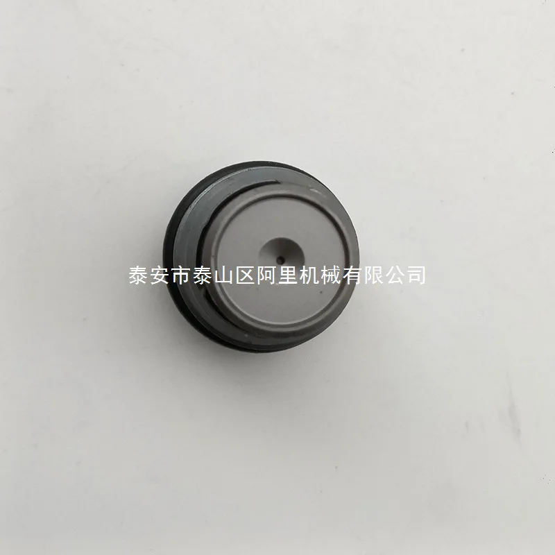 For Jiefang DongF Heavy Duty Truck Bosch Fuel High Pressure Common Rail Pressure Limiting Valve 1110010024 Pressure Relief Valve