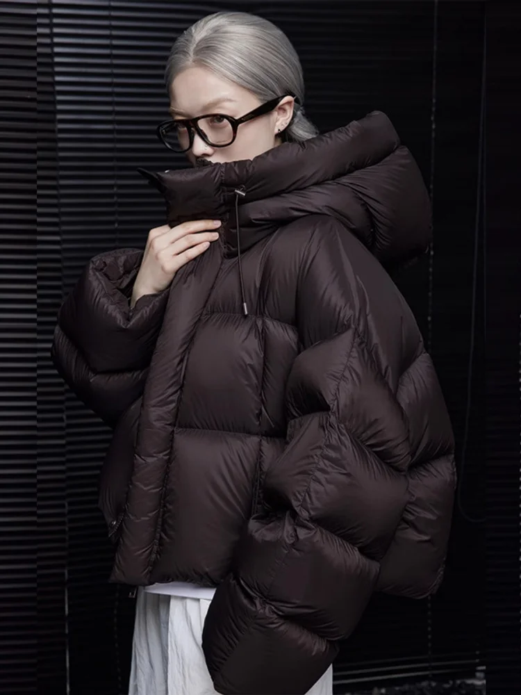 

Women Fashion Autumn Winter Short Down Jacket Thicken Warm Hooded Parkas Coats Causal Korean Female Outerwears Going Out Outfits