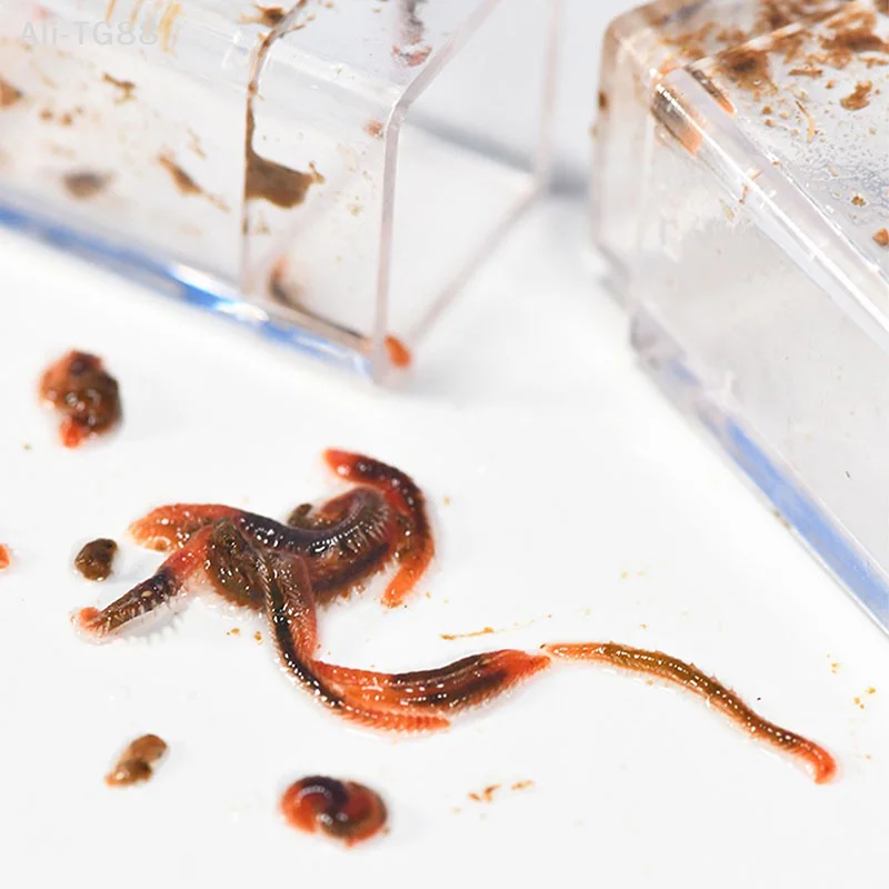 Steel Caterpillar Eddy Worm Ca - огляд і ціна Aquarium Fish Trap