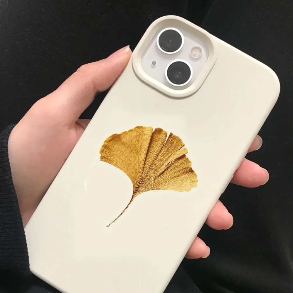 50PCS Creative Plant Specimen PET Transparent Material Stickers Envelope Sealing Stickers Mobile Phone Case Decorative Stickers