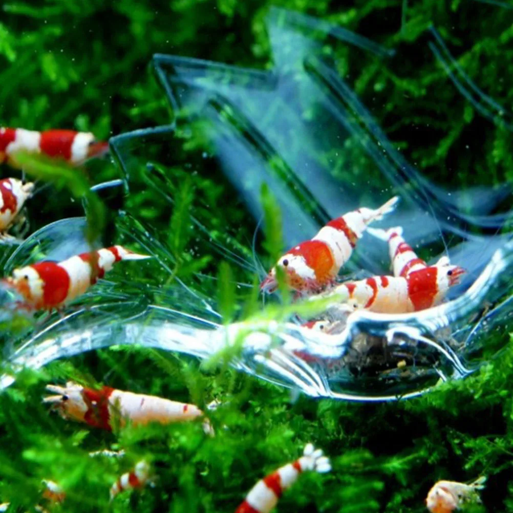 

Aquarium Tray Shrimp Tank Clear Fish Food Holder Suction Cup Compact Design For Freshwater Saltwater Aquariums Reptiles Shrimp