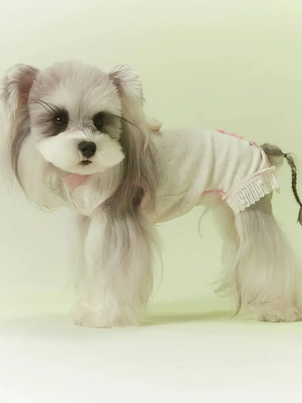 

Kawaii Pastel Pet Loungewear | Beige Knit Dog Onesie with Pink Ruffles for Maltese & Schnauzer