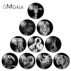 Fashion Black Animals Birds mixed 10pcs 8mm/10mm12mm/18mm/20mm/25mm Round photo glass cabochon demo flat back Making findings