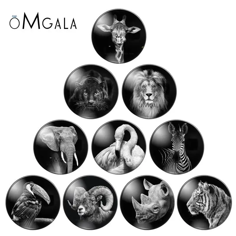 Fashion Black Animals Birds mixed 10pcs 8mm/10mm12mm/18mm/20mm/25mm Round photo glass cabochon demo flat back Making findings