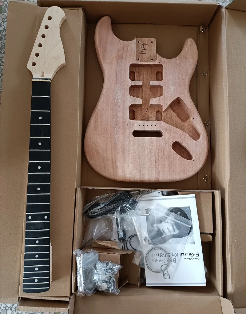 Electric Guitar Kit Double Tremolo Guitar Assembly DIY 6-String Complete Electric Guitar 22 Frets