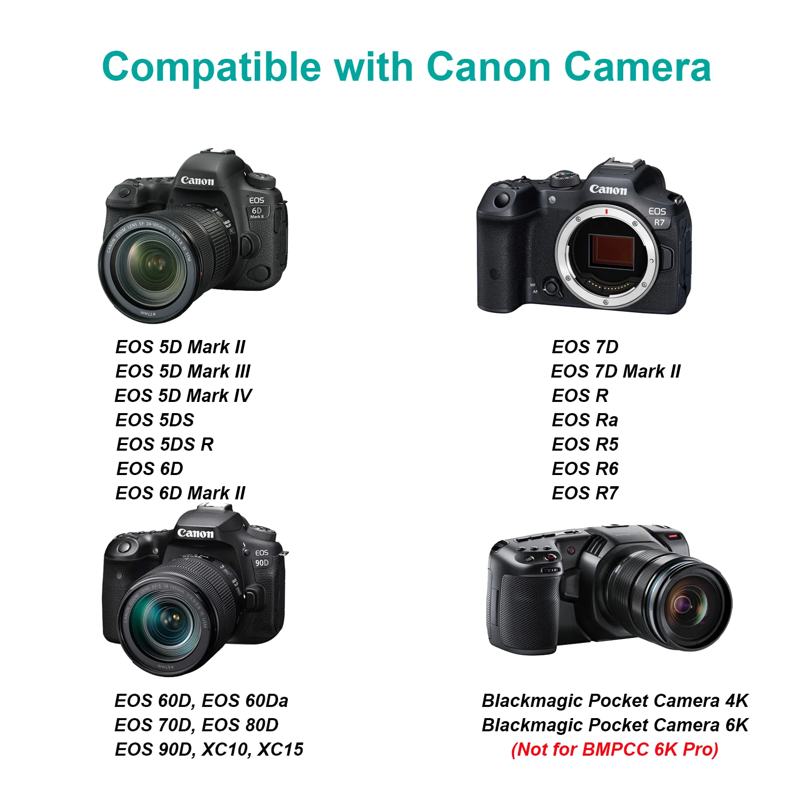 Bateria Canon-EOS R7 R6, LP-E6N, LP-E6, R5 R, EOS 5D II III IV, EOS 6D, 7D Mark II, 60D, 70D, 80D, 90D, Blackmagic 4K, 6K