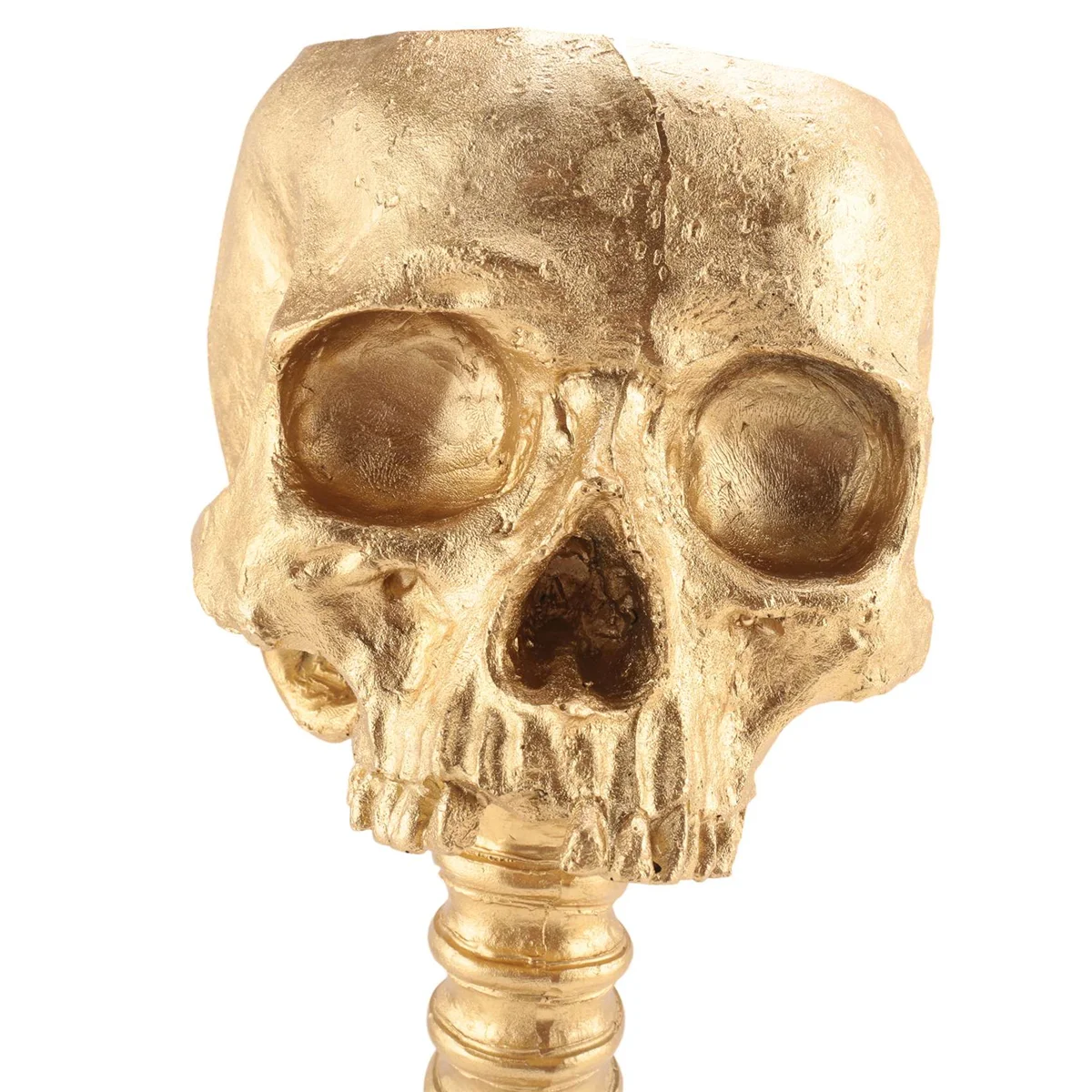N98R مجموعة زارع جمجمة الراتنج وحامل العمود الفقري، وعاء جماجم البوليريسين، زينة الهالوين زهرة رأس جمجمة بشرية قديمة، ذهبي #2