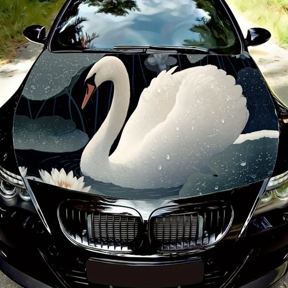 Beautiful Swan Play… - image