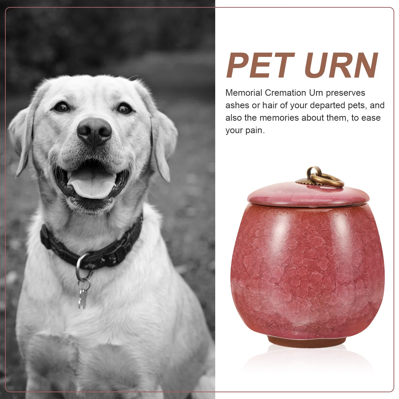 Pet Urn Ceramic Small Memorial Pet Cremation Urn for Dog Cat Ashes Keepsake Funeral Urns for Ashes Safe Sealed Storage