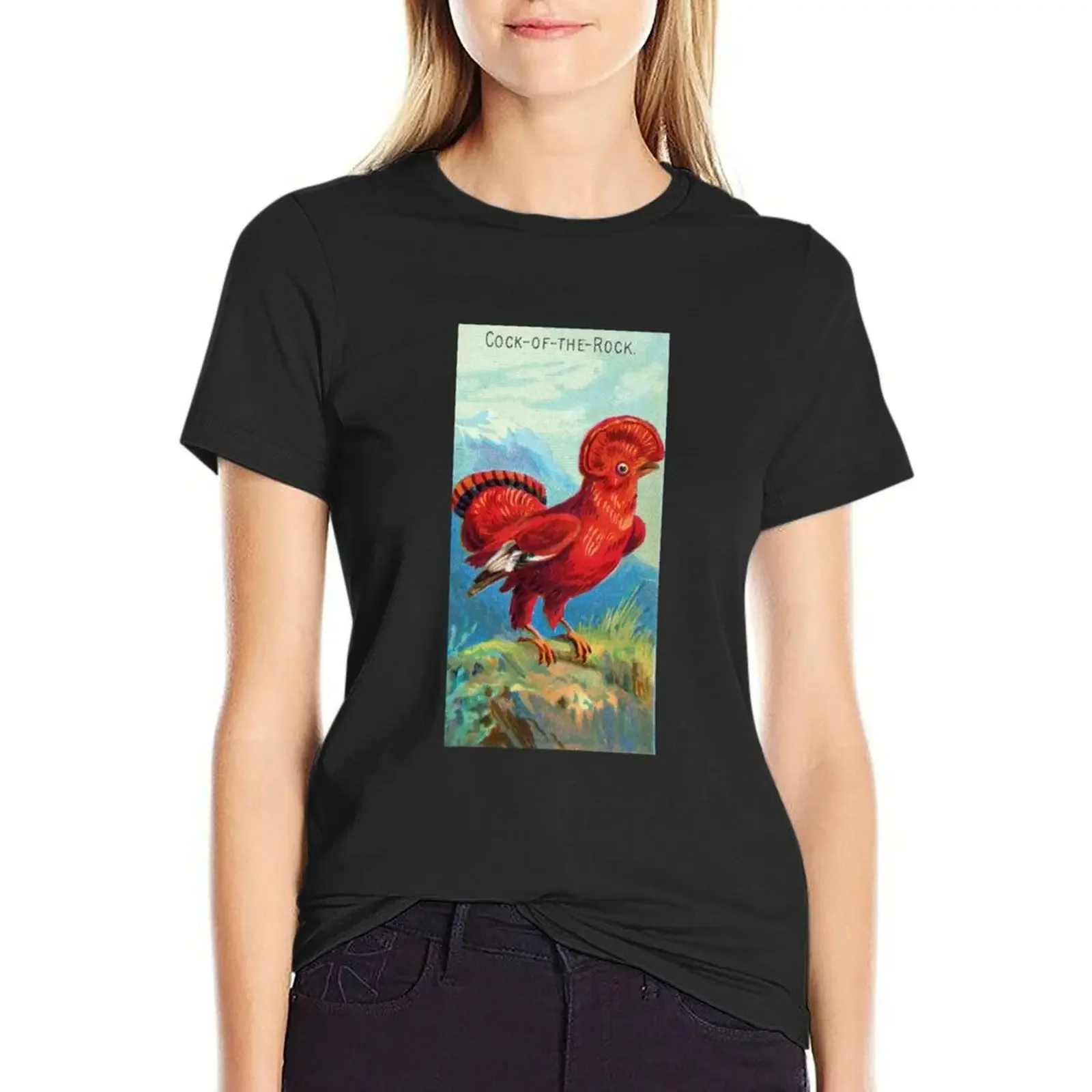 

Cock of the Rock T-Shirt Blouse cute tops customizeds quick drying t shirts for Women loose fit