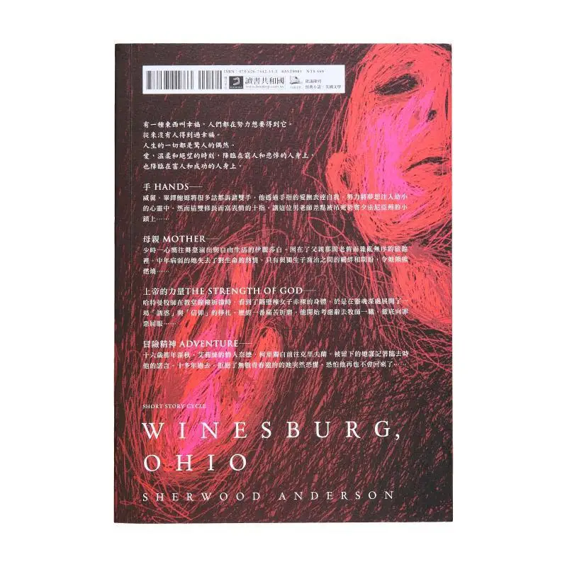A Strange Person In A Small Town Sherwood Anderson Ark Culture 9786267442333 Book