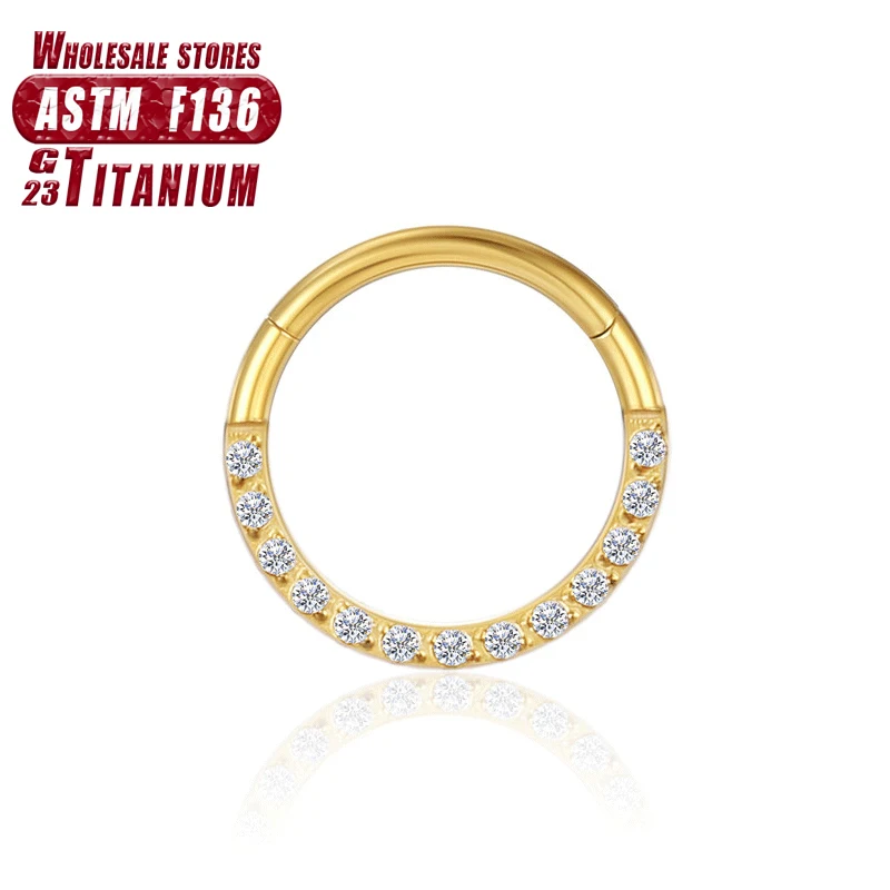 Women's Titanium ZC Nose Rings & Hinged Segment Earrings, Versatile