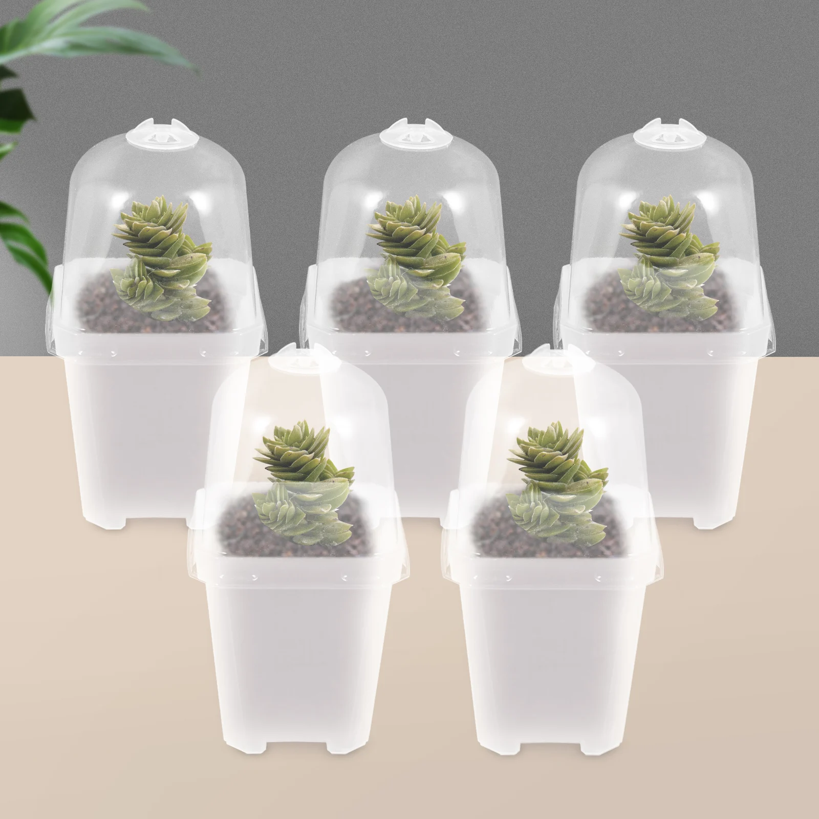 

20 set Semi-Transparent Thickened Flower Nursery Pots With Lid Air Permeable Durable Plastic Planters For Indoor Outdoor Garden