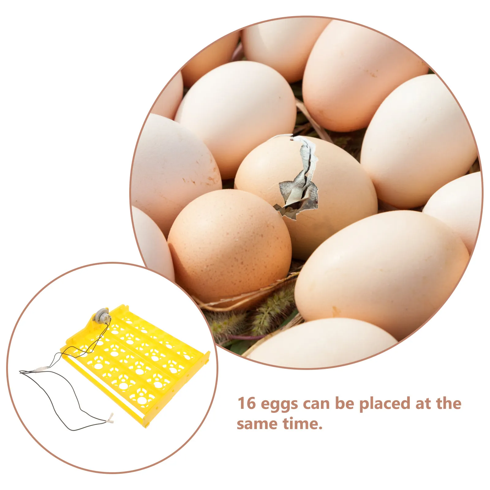 Automatic Egg Incubator Tray with Auto-Rotation for Chicken, Goose, Turkey & Quail Hatching