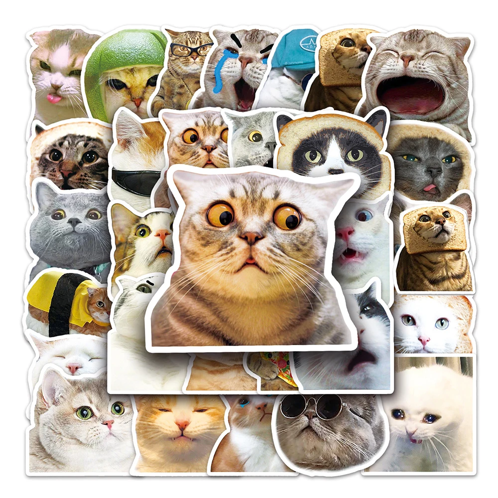 10/30/50pcs Cat Stickers Cartoon Meme Animals Funny Decals Toys DIY Scrapbook Skateboard Laptop Phone Bike Kawaii Kids Sticker