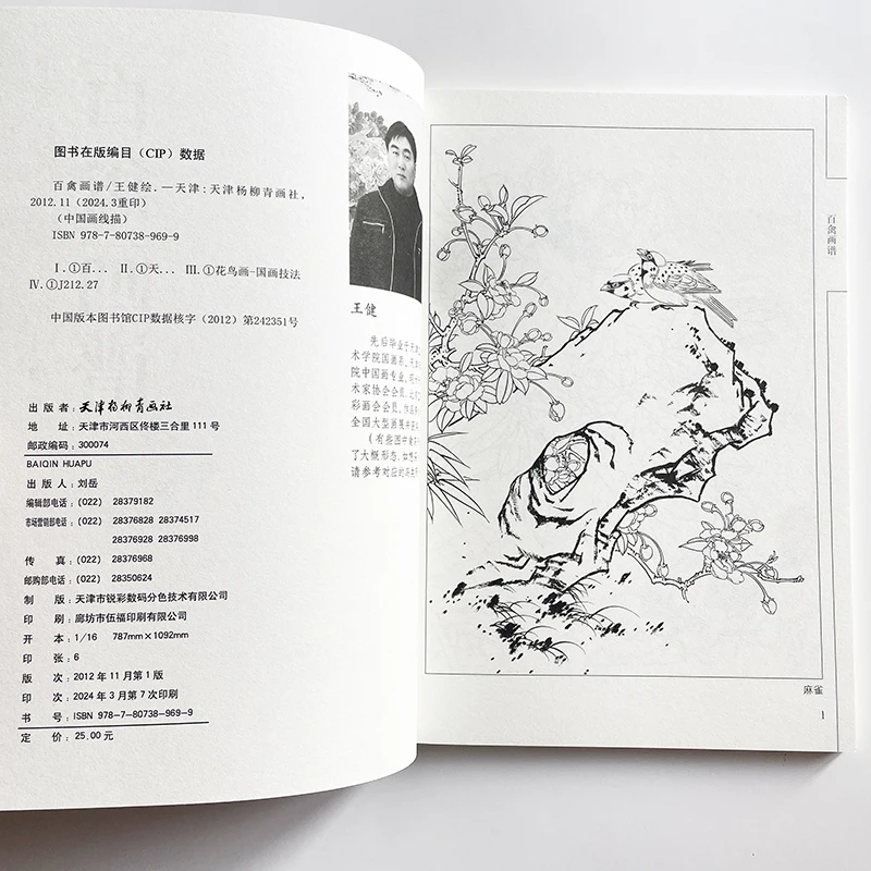 94Pages Hundred Birds Line Drawing Collection Stress Relieving Coloring Book for Adults Chinese Traditional Painting References