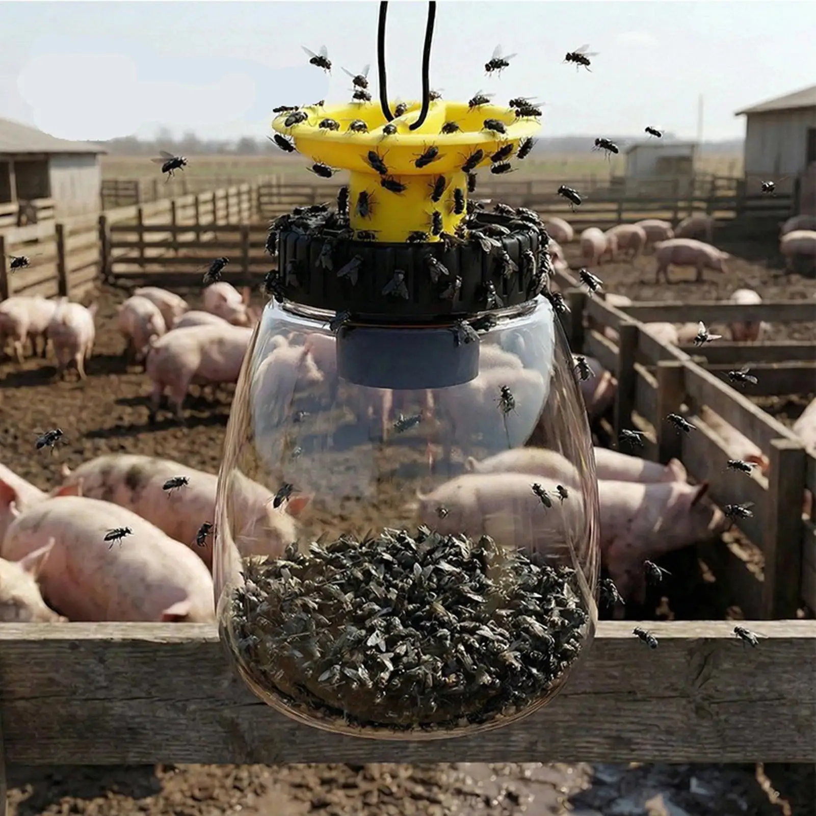 Fruit Fly Trap Reusable Hangable Trap Bottle Fly Catcher Outdoor For Orchard Garden Stable Farm Ranch Outside Barn Yard