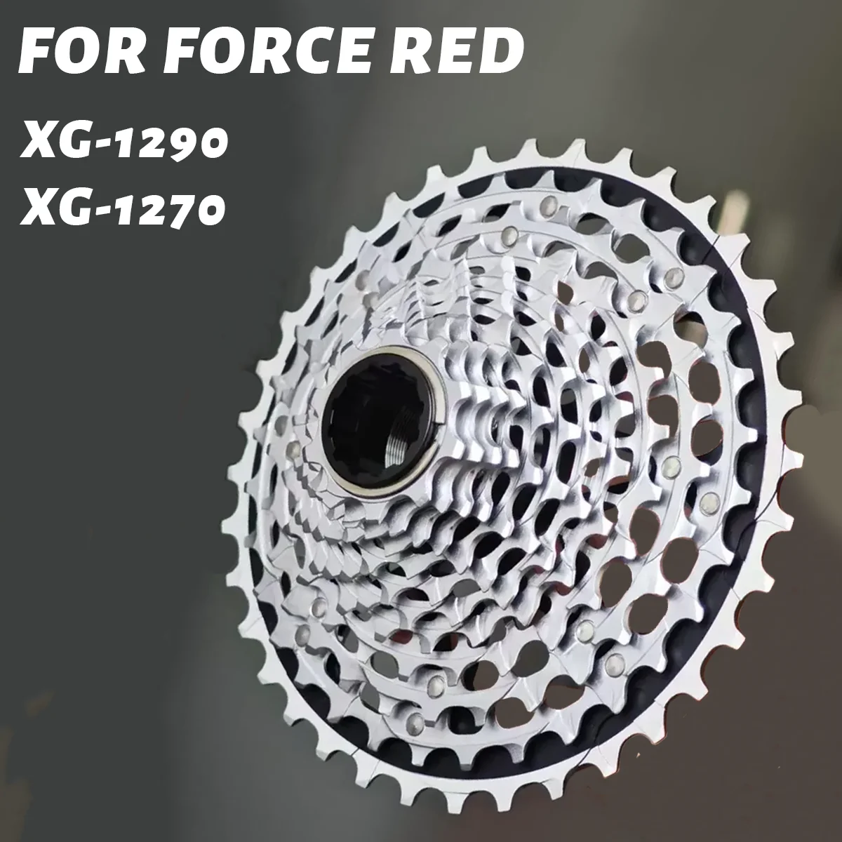 12 Speed Xdr Casset…