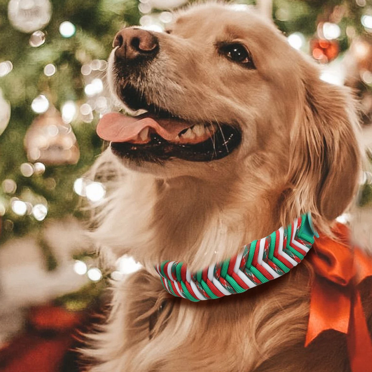 Strapazierfähiges Nylon-Hundehalsband für Weihnachtsgeschenke mit großem Mittel- und Welpenzubehör, modisches, verstellbares, farbenfrohes Gurtband – Detail 7