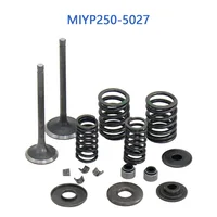 Juegos de válvulas de entrada/escape YP250-5027 para Linhai 250 260 300 520 Yamaha Keeway Jinlang Feishen Scooter ATV 22714