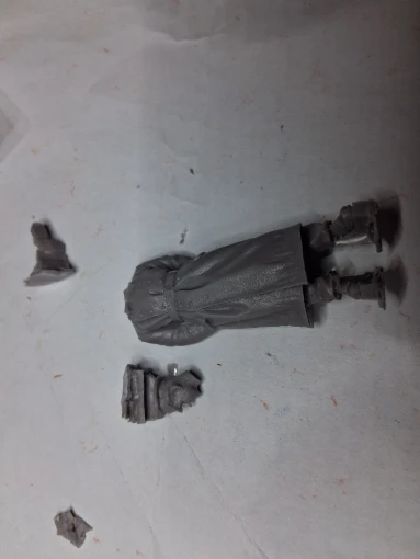 Buyer photo of this resin kit
