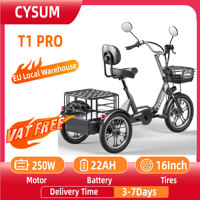 CYSUM T1 Pro Adult Electric Tricycle 250W Electric Cargo Tricycle 48V22AH Battery E-Cargo Tricycle 16 Inch Tire E-Tricycle