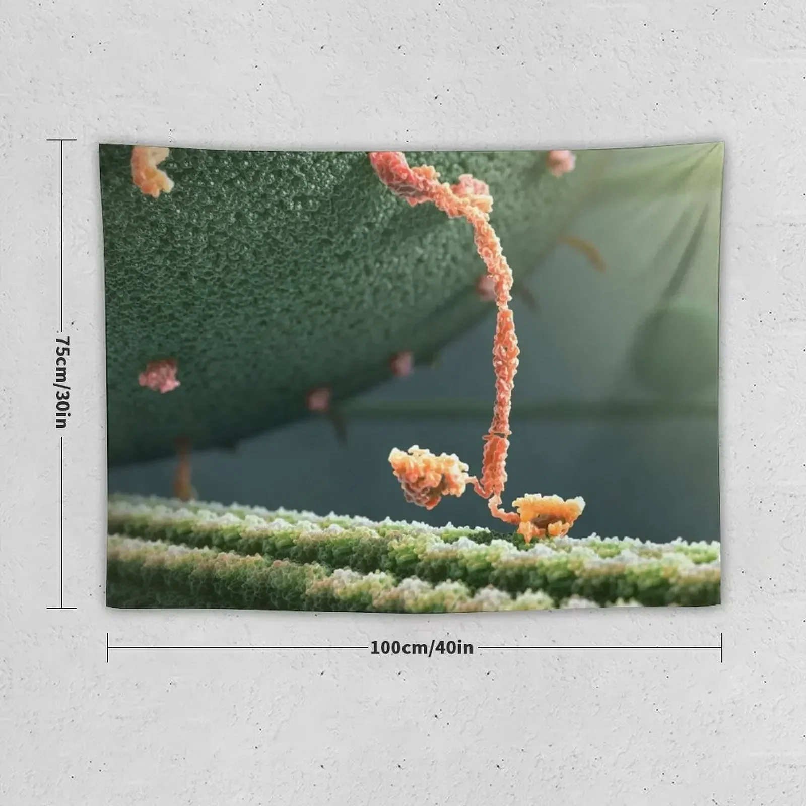 Kinesin Protein Walking by John Liebler Tapestry Wall Tapestries Anime Decor Home Decor Aesthetic Funny Tapestry