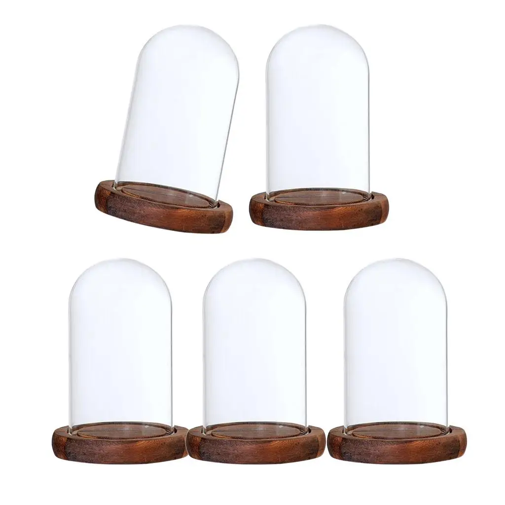 Decorative Glass Dome Cloche with Base Flower Container Mini Display for Luxury Room Decoration Ornaments