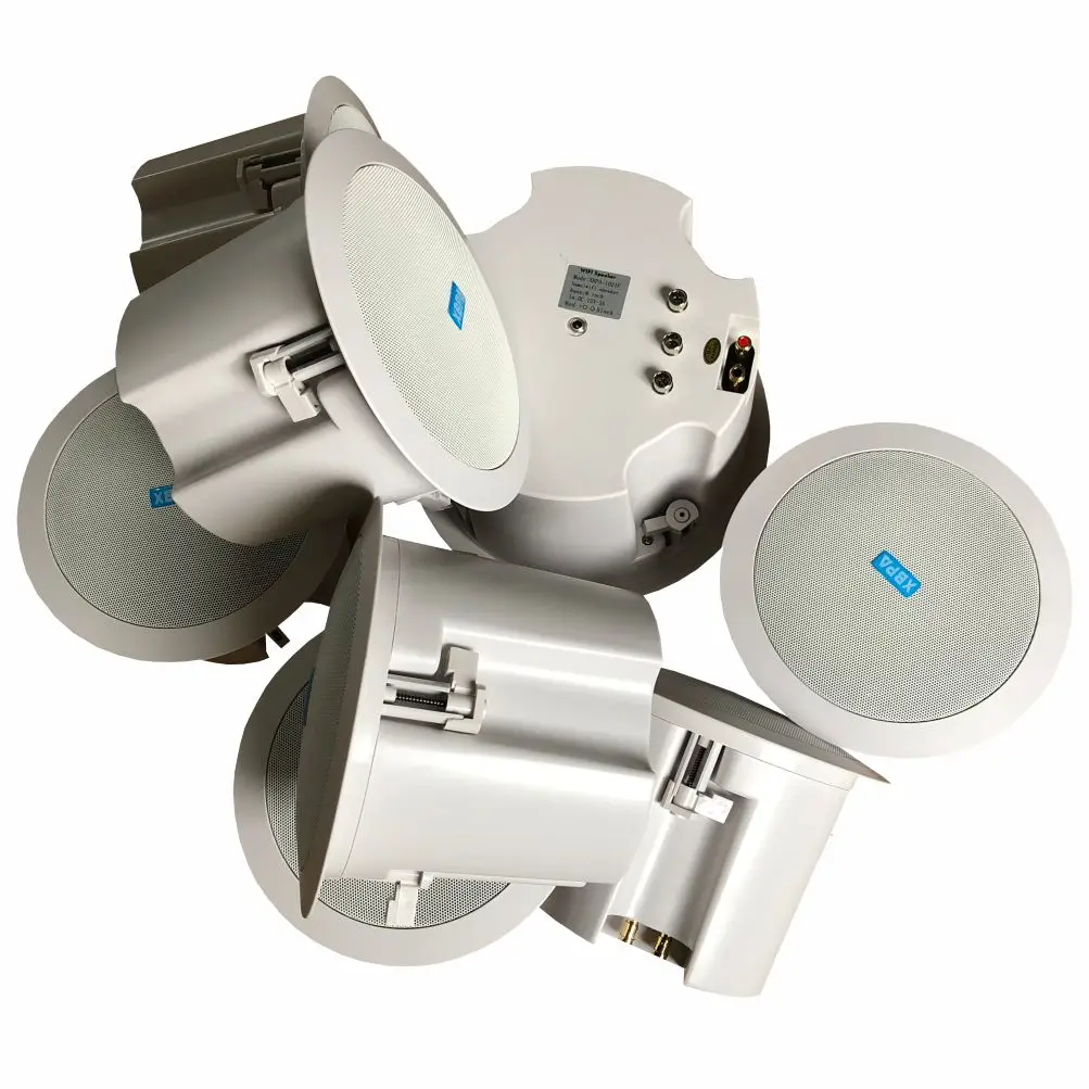 In Ceiling Speaker …