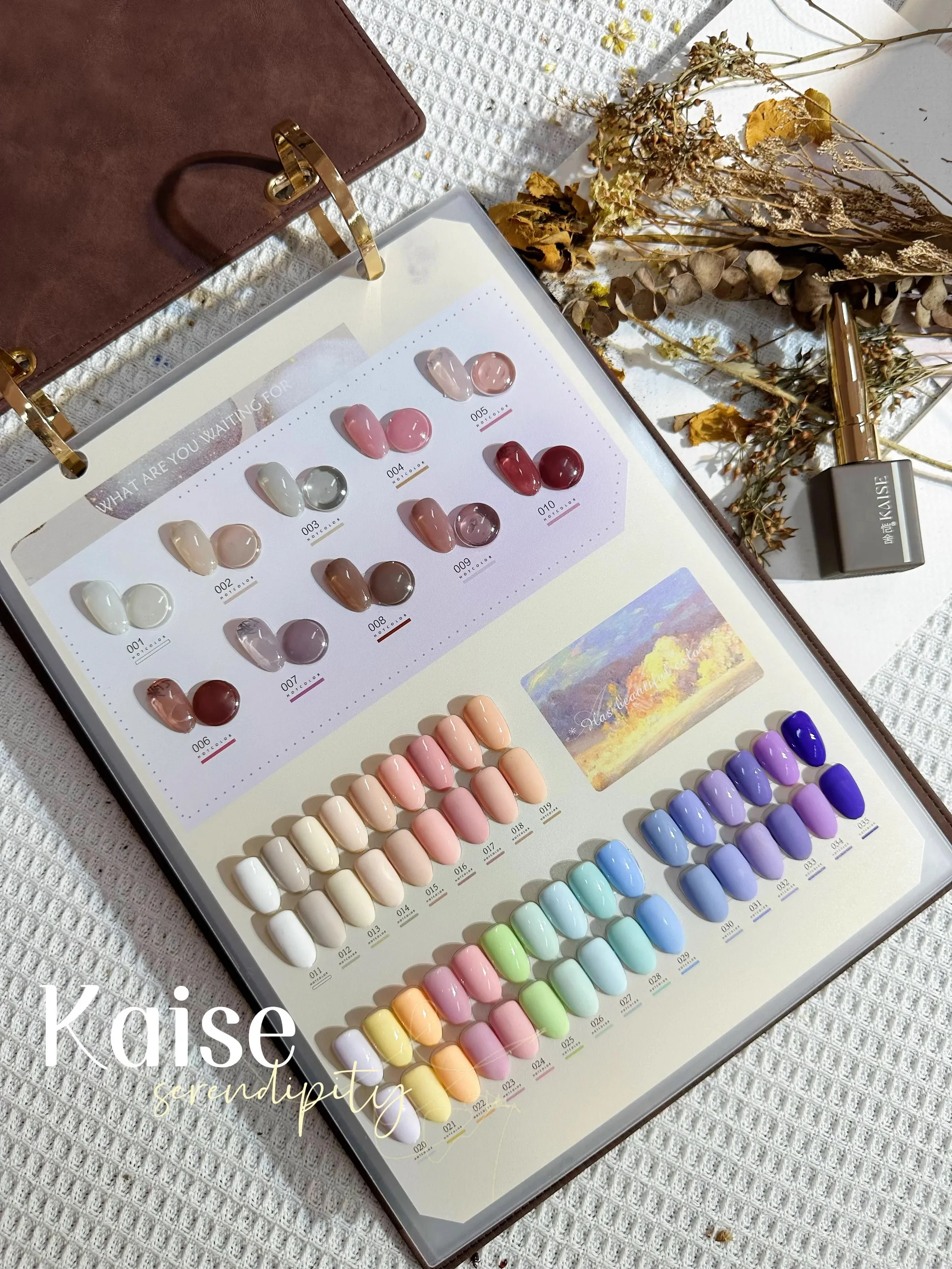 KAISE Mismatched 176 Colors Nail gel set New model 2024 Nail art kit Hot selling Non-toxic Uv gel Net red hot color Nail salon