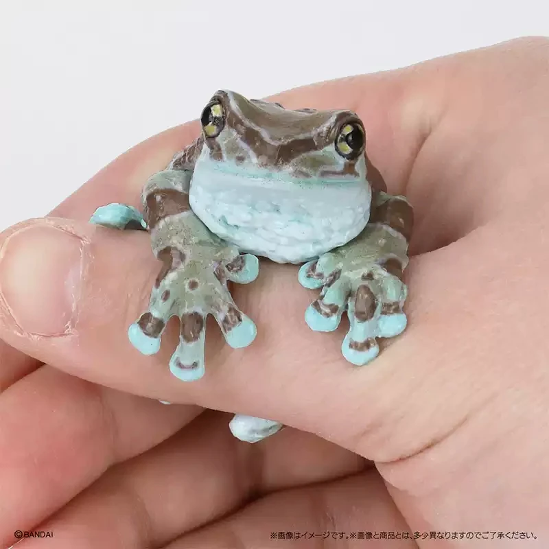 BANDAI Original Toy Ikemono Taisyou ADVANCE Rhacophoridae Gacha Gashapon Anime Action Model Figures Collection