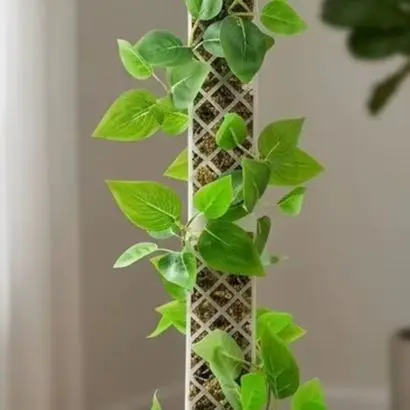 Plastic Stackable Moss Pole Set for Monstera - Vertical Climbing Support Kit with 2 Posts 2 Frames 2 Watering Posts 4 Straps