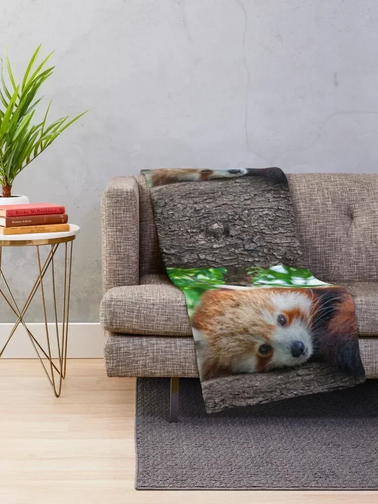 Red Panda Pose Throw Blanket Plaid on the sofa Hair Blankets