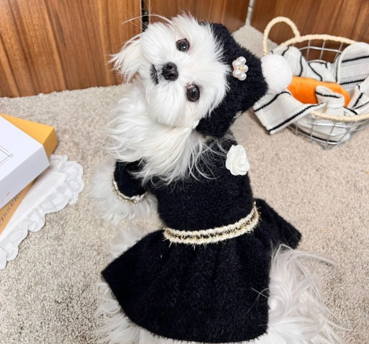 

Classic Black Floral Accessory Design Knitted Pet Dress, Warm & Comfortable Dog Sweater Skirt Hat Suit
