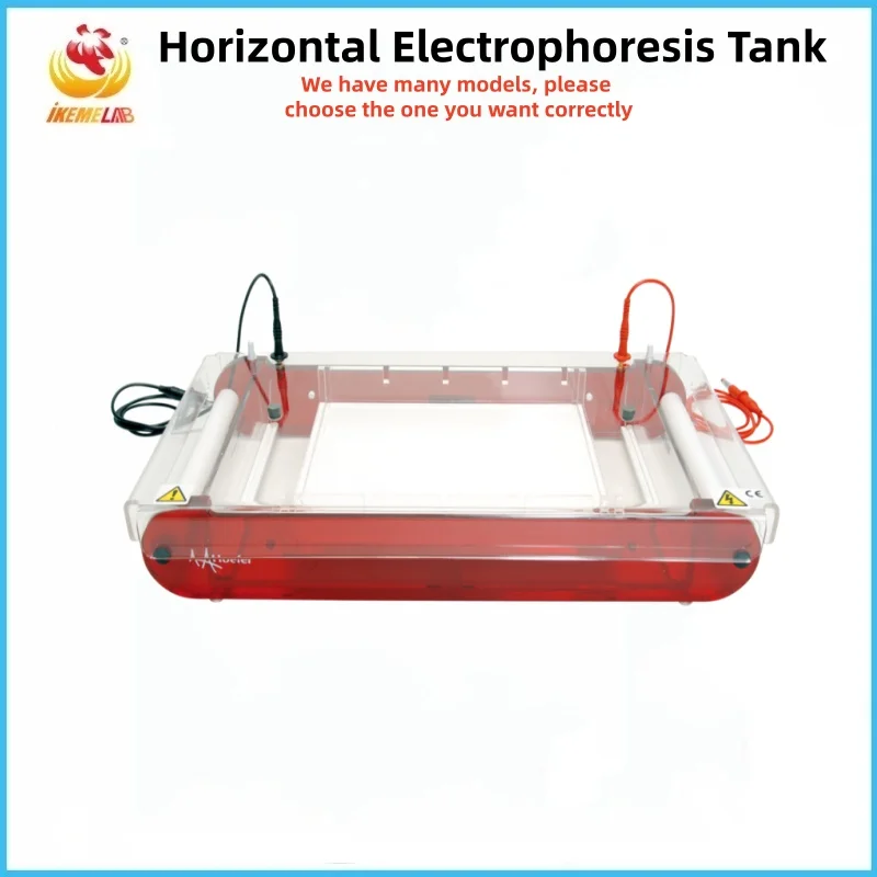 Hoefer Horizontal Electrophoresis Tank Agarose Gel- Cell Nucleic Acid Electrophoresis Molecular Separation Teaching Instrument