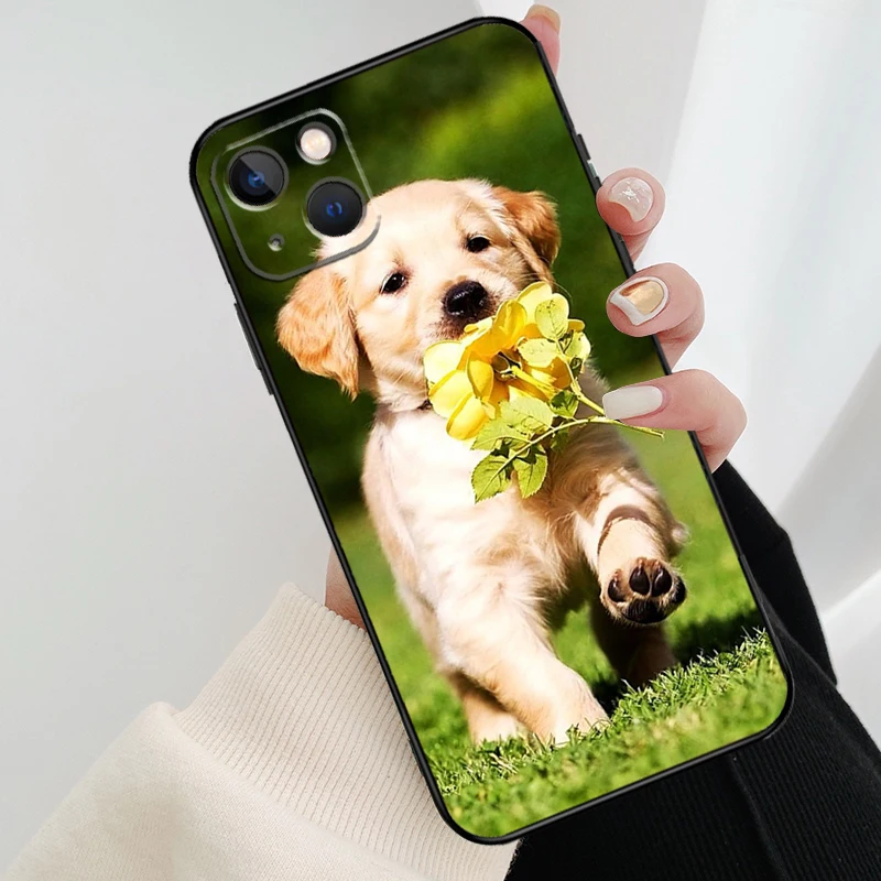 Golden Retriever Dog Phone Case For iPhone 11 12 13 14 15 16 Pro XS Max Mini Cover For iPhone X XR Plus Back Case