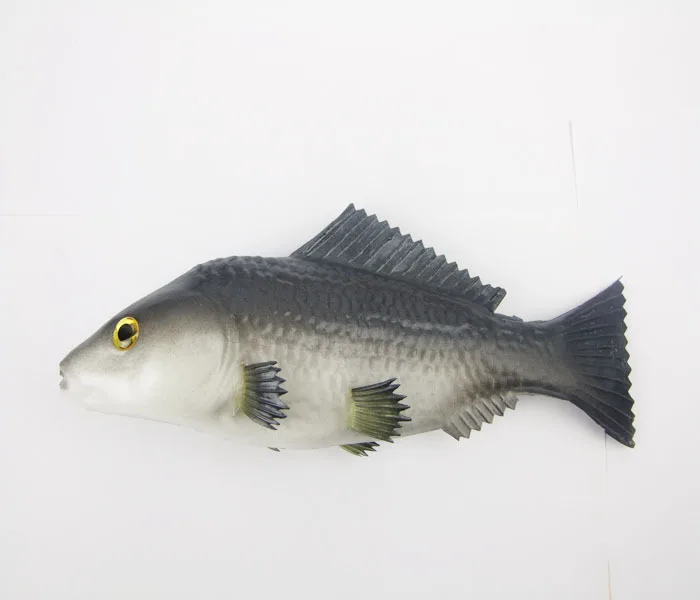 Simulierte Fisch modell künstliche Karausche Figur Fisch Dekoration Ornament Kinder Tier lernen Spielzeug Geschenke dekorative Requisiten – Detail 8