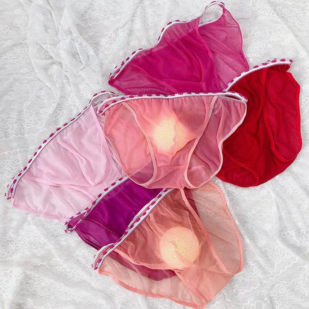 Underpants Panty Panties Underwear Sheer Mesh Bulge Pouch Bikini Briefs Thongs for Men's All Seasons in Random Color