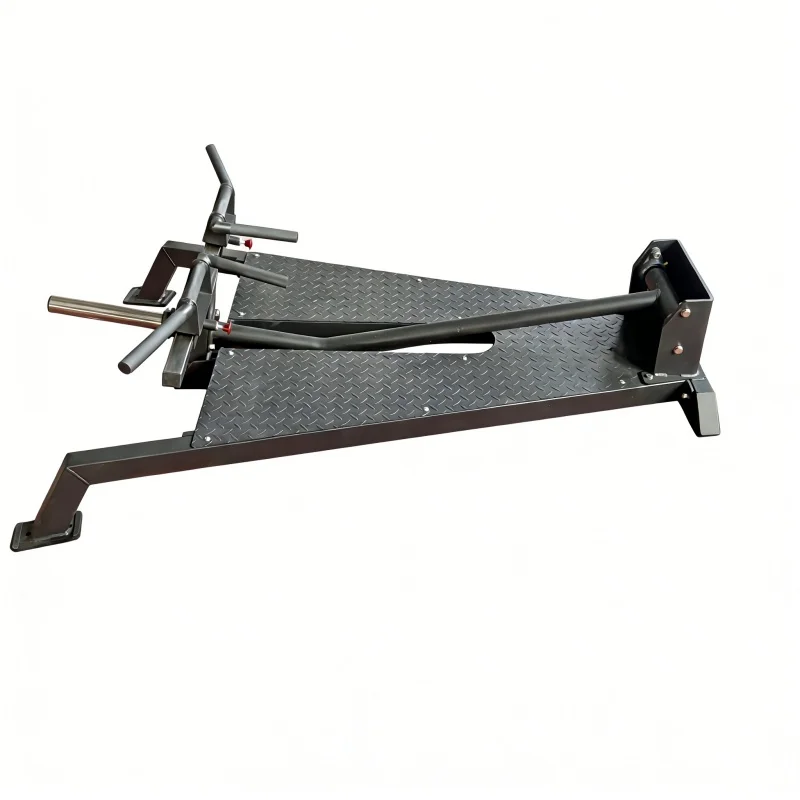 Professional Gym Use Plate Loaded Back Muscles Biceps Shoulder Exercise Body Solid Chest Support T Bar Row Machine for Gym