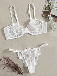 Sexy Lingerie Woman Lace Transparent Underwear Fairy Embroidery Brief Sets Delicate Bra Kit Push Up Breves Sets Erotic Bra 2024