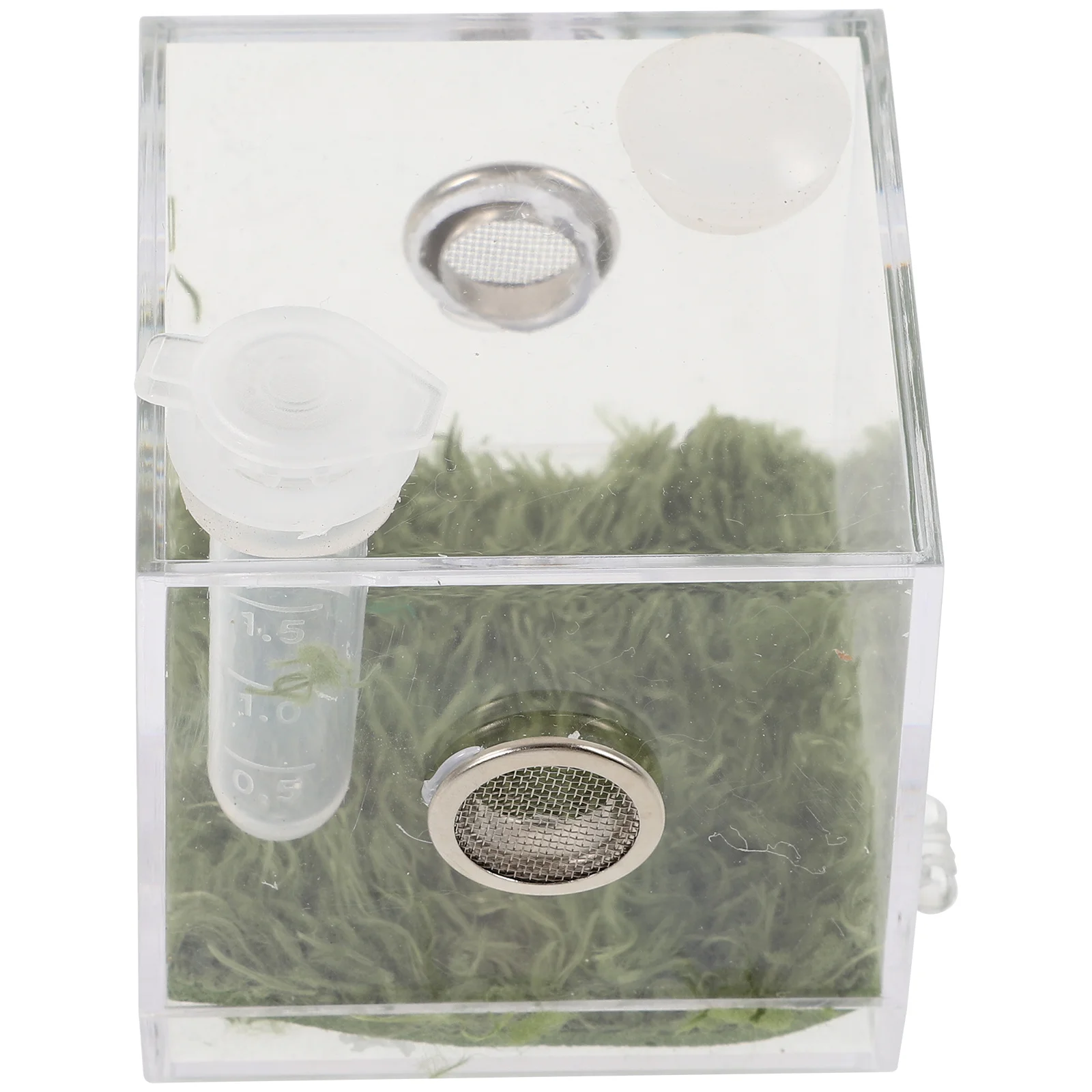 

1Set Clear Jumping Spider Enclosure Box Acrylic Reptile Feeding Habitat Insect Breeding Container Transparent Spider Case