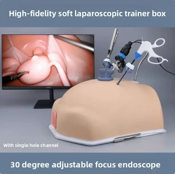 Bionic laparoscopic surgery simulation training box 30-degree focus lens, practice equipment computer version