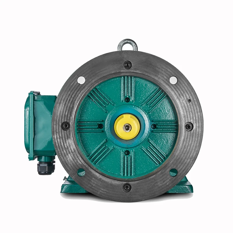 BROOK 30kW 4p High Efficiency Asynchronous AC Electric Three Phase Water Pump IE3 40 hp induction motor