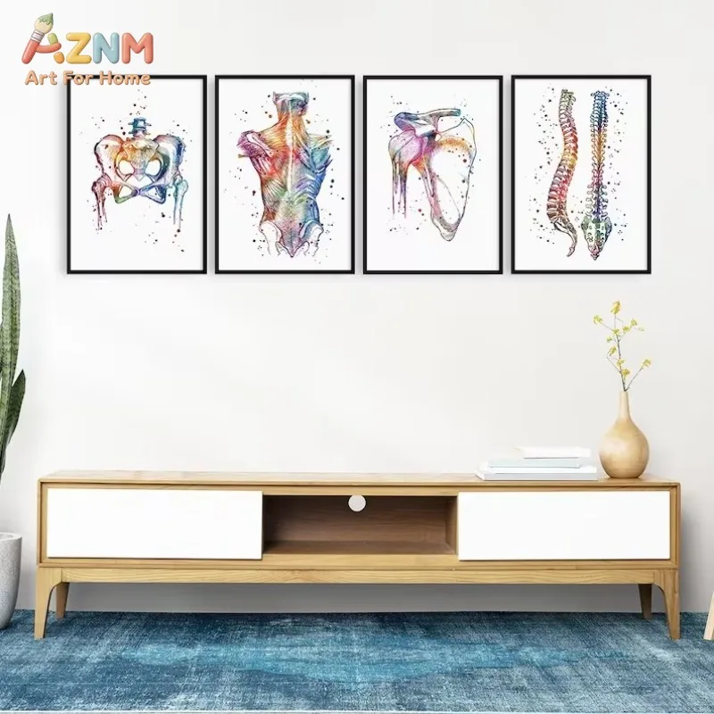AZNM Watercolor Anatomy Skeletal Canvas Wall Art Print Spine Pelvis Shoulder Medical Poster for Clinic Decor